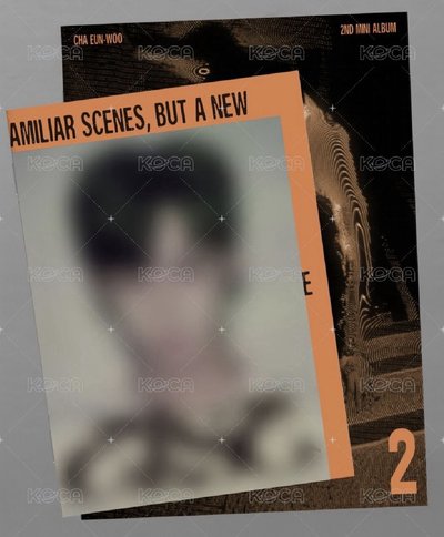 Search image