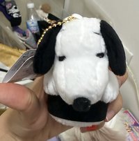   吊娃 