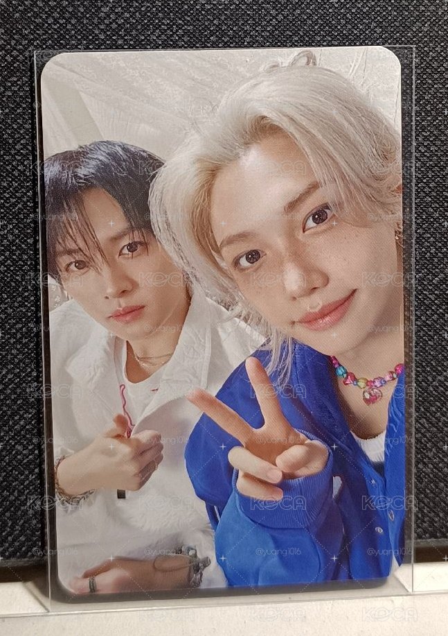 貓貓場限
