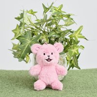 傑洛的小熊