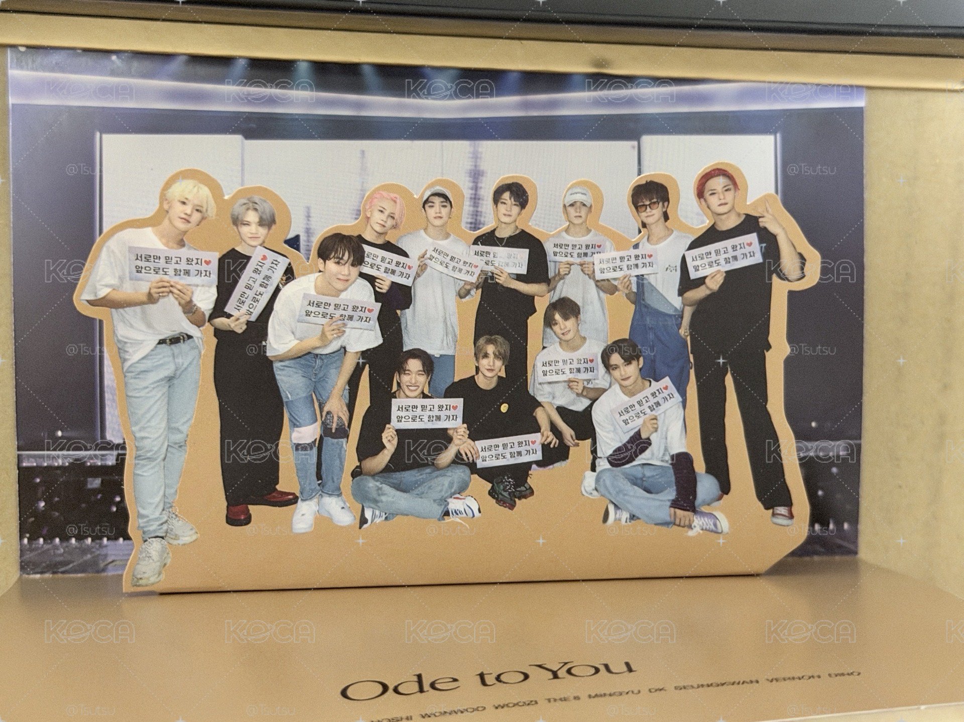 (現貨整圖出 一日左右寄出）seventeen Ode to you 19’OTY 回憶錄 DVD ver. 圓佑 小卡