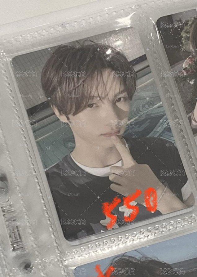 泳池宰