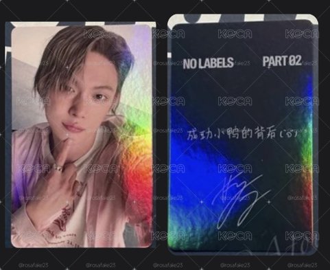 Yolo 成功小鴨的背後