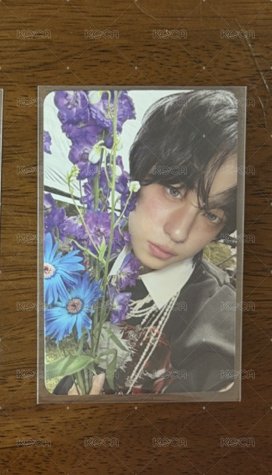 人比花嬌