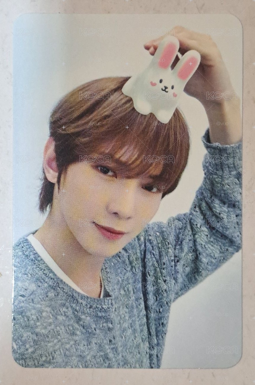 小狗頭上有兔子