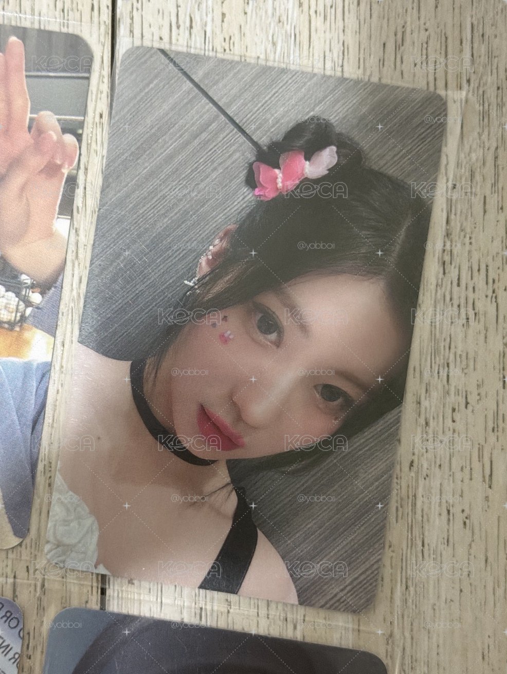 秋季紗