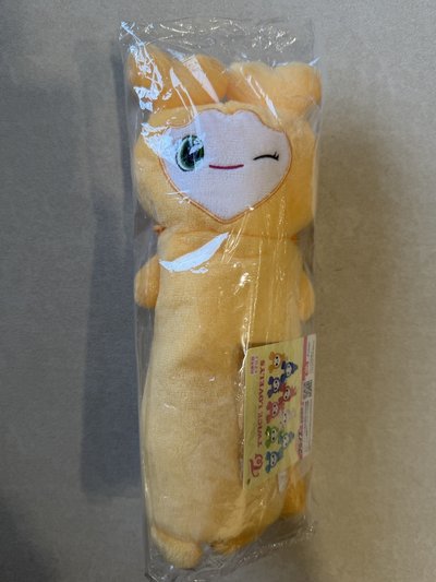 志效 GIGO 水壺袋💛