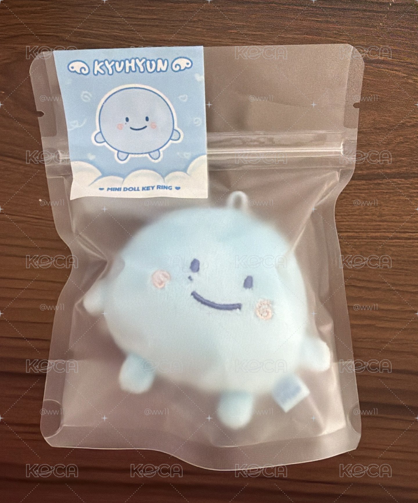 （全新未拆）19糰圭