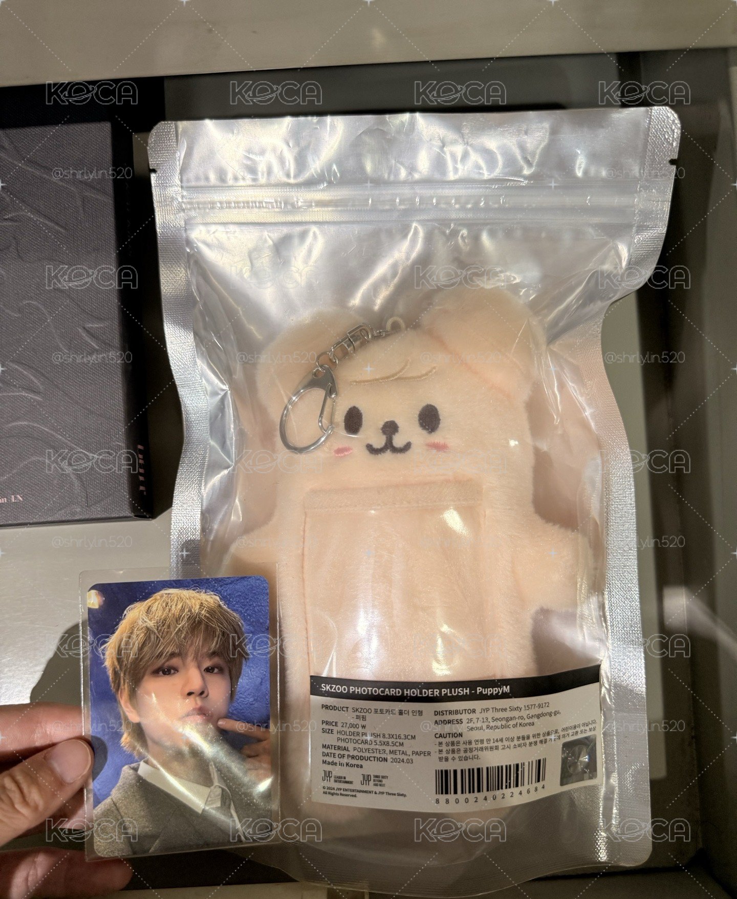 Stray Kids 魔法學院周邊 PUPPY M卡套+卡