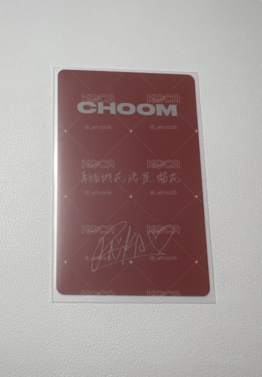 춤 (CHOOM) - 京東 1.0 中背露
