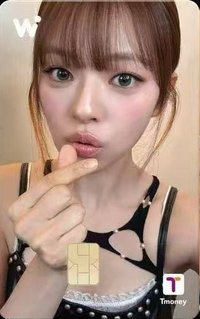WOWPASS 3.0 交通卡 