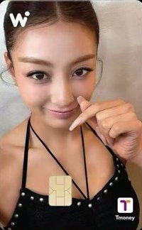 WOWPASS 3.0 交通卡 