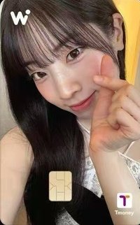 WOWPASS 3.0 交通卡 