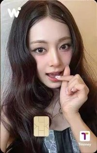 WOWPASS 3.0 交通卡 