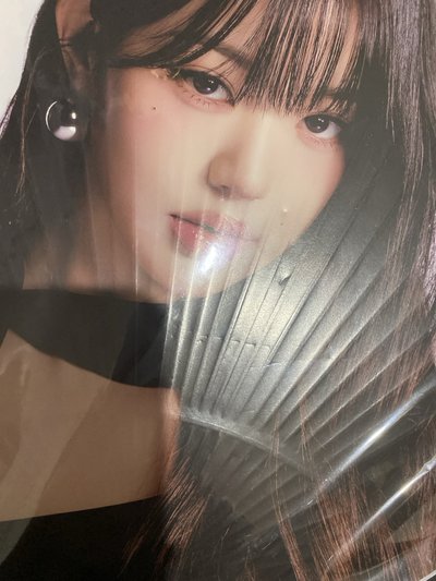 日巡 員大王扇🍒