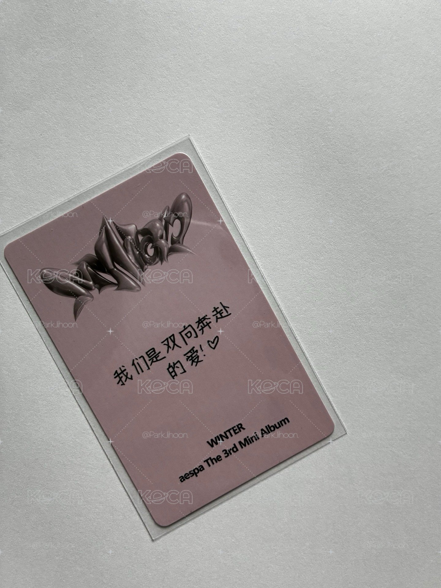 中背閃閃冬（我們是雙向奔赴的愛）