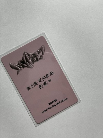 中背閃閃冬（我們是雙向奔赴的愛）