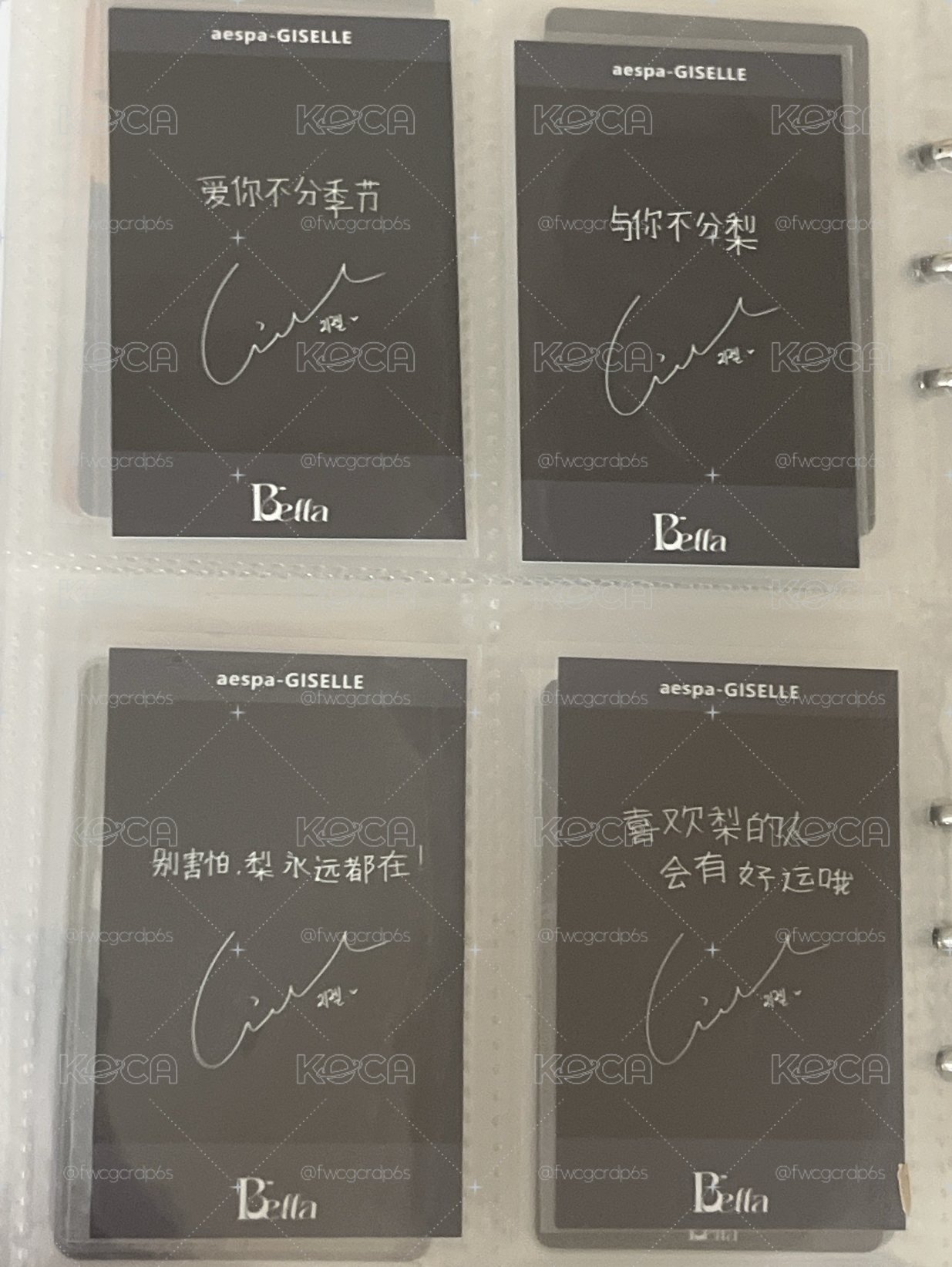 吉 中背拍