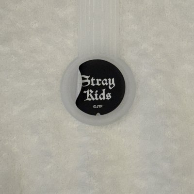 Stray kids 金昇玟