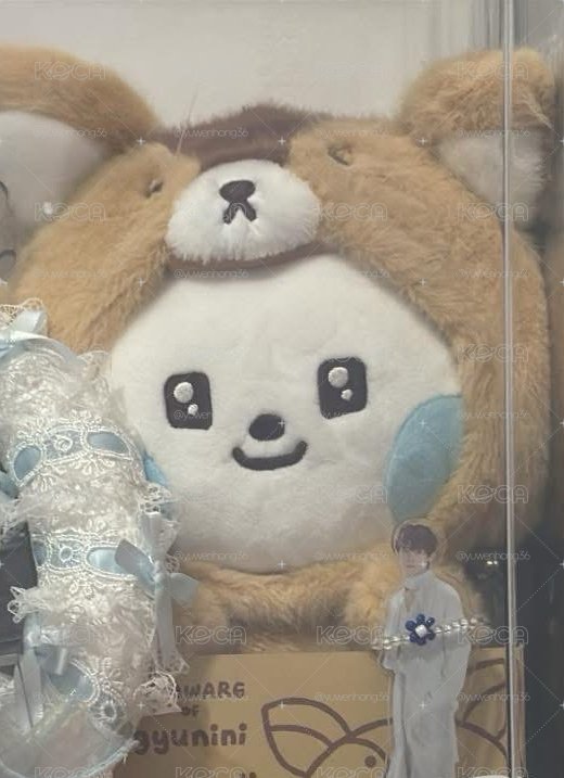 奎中娃