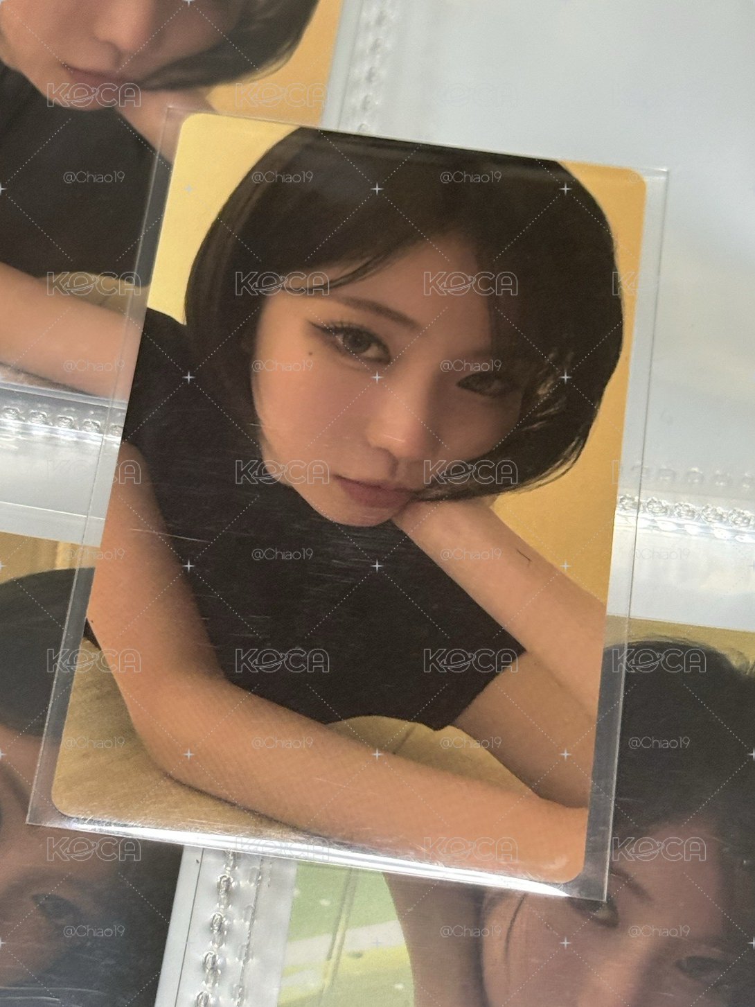 wvs預售紗