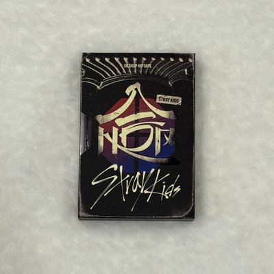 Stray kids 電子專