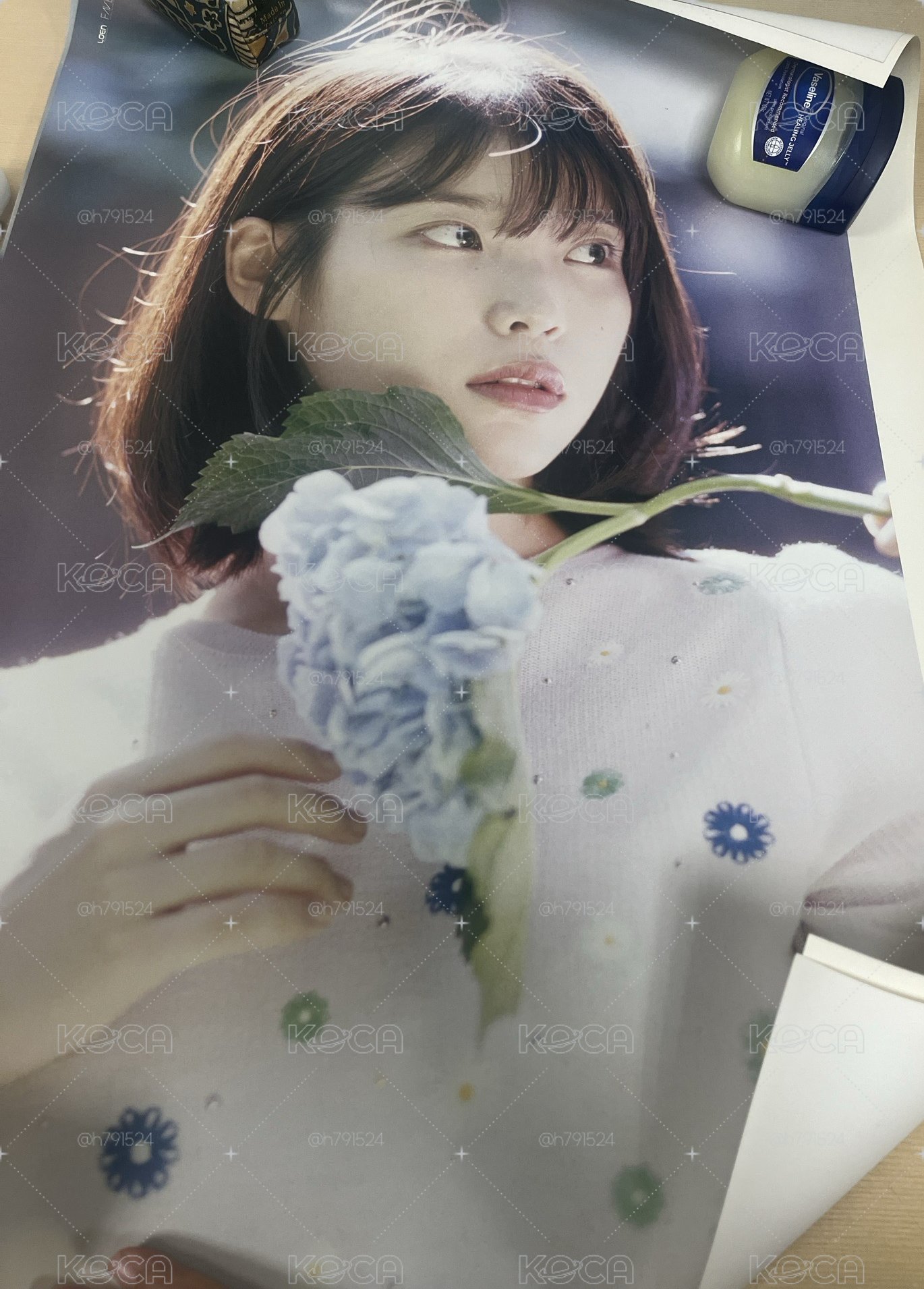 IU 李知恩 花書籤2 專輯海報兩張