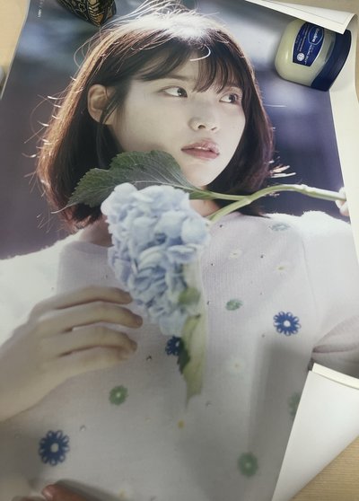 IU 李知恩 花書籤2 專輯海報兩張