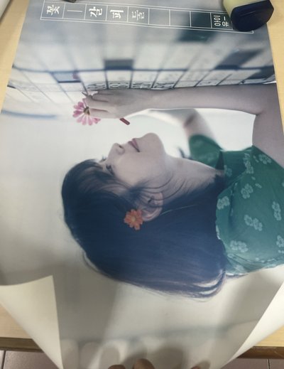 IU 李知恩 花書籤2 專輯海報兩張