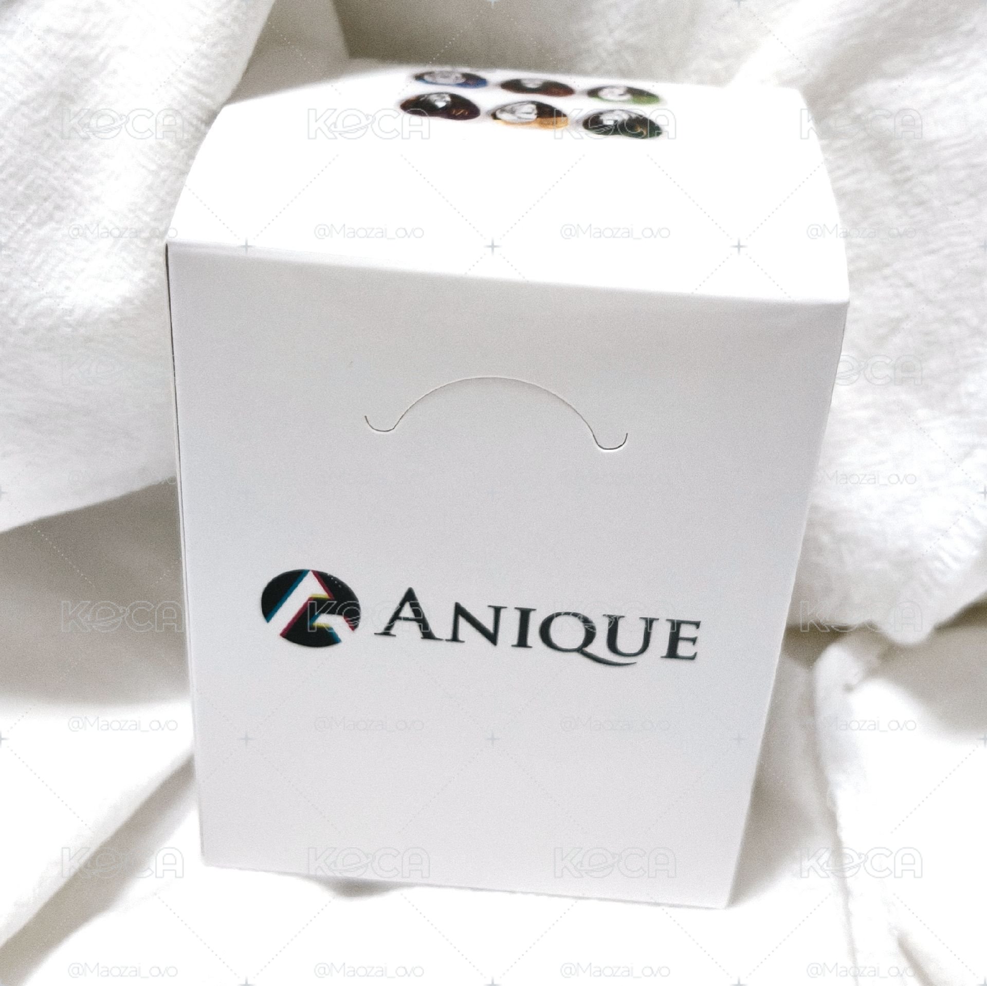 ฅ^ ･ﻌ･ ^ฅ 【現貨】進擊的巨人 Anique 情人節徽章 全六款 整盒售