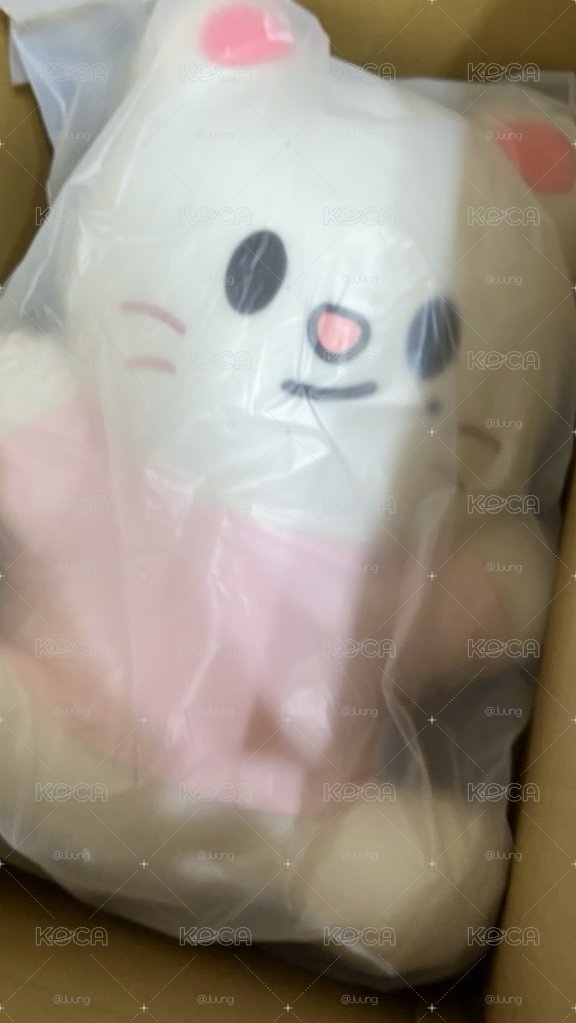 全球快閃辰大娃