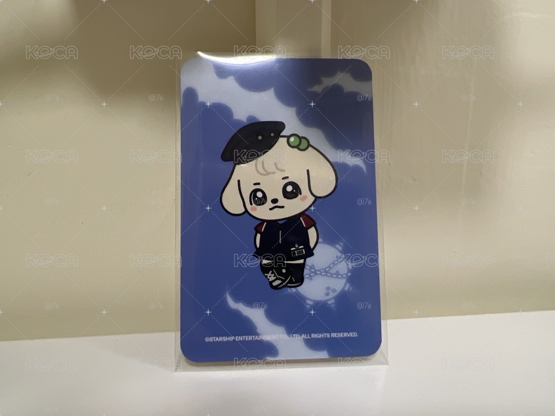 安安特典 左邊是康安吉卡背😍