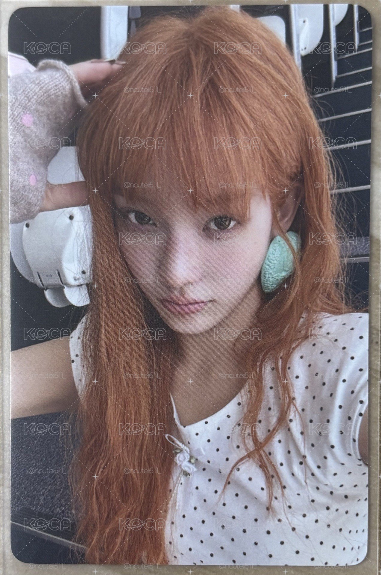 中背彩羽（小雨濛濛 小羽萌萌）