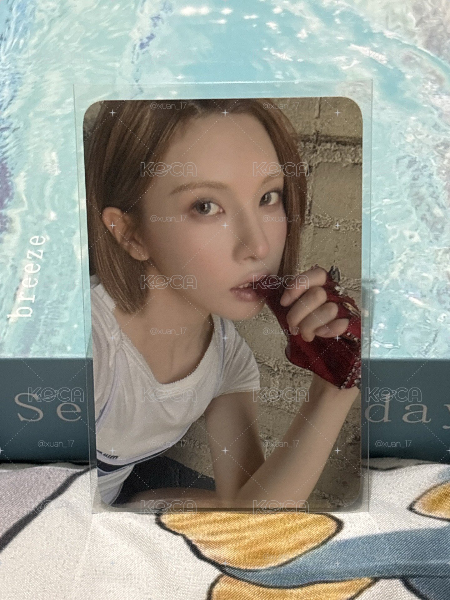 正規一 el 分隊 3.0 簽售卡 A