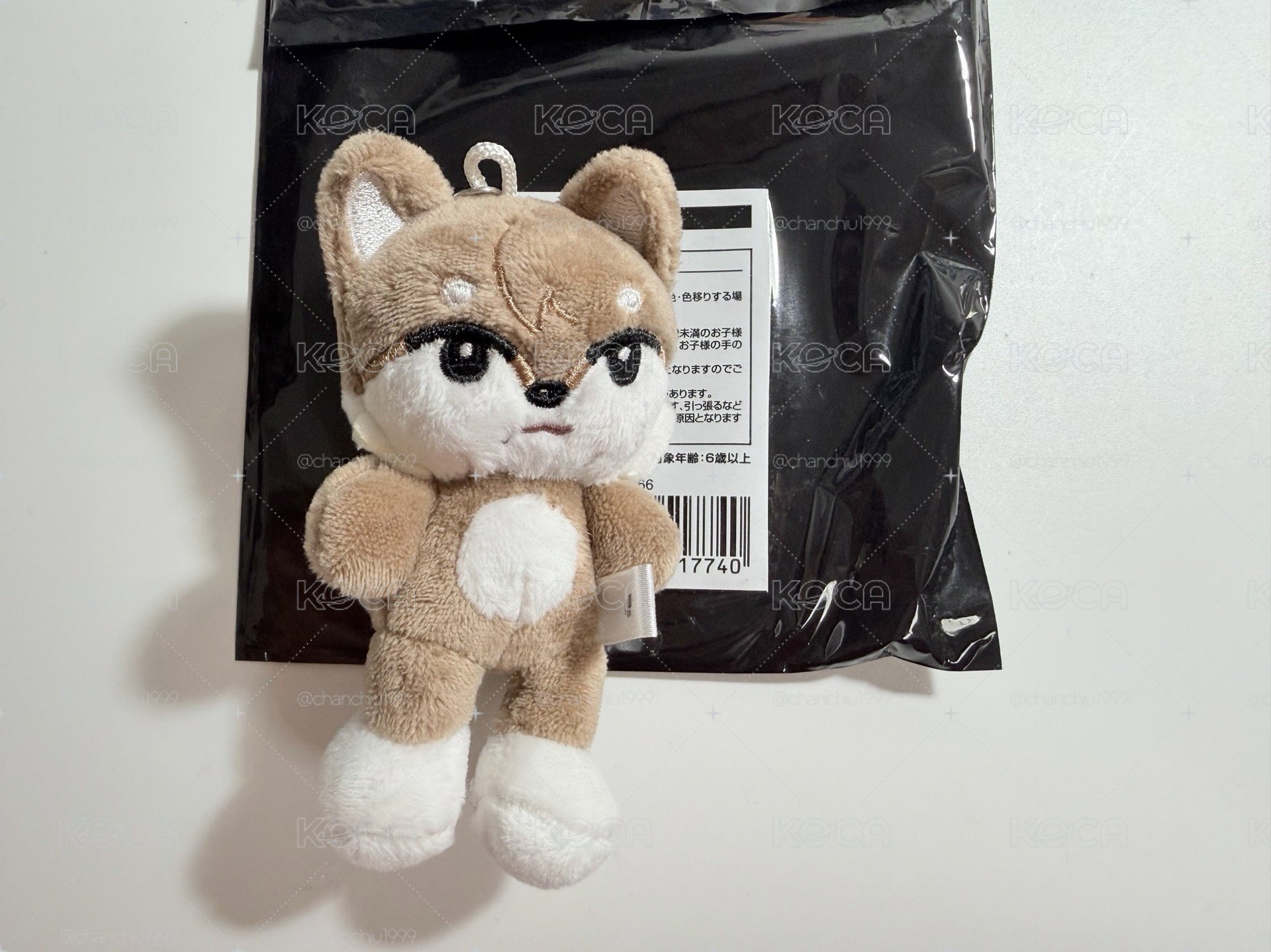 🐾日巡娃