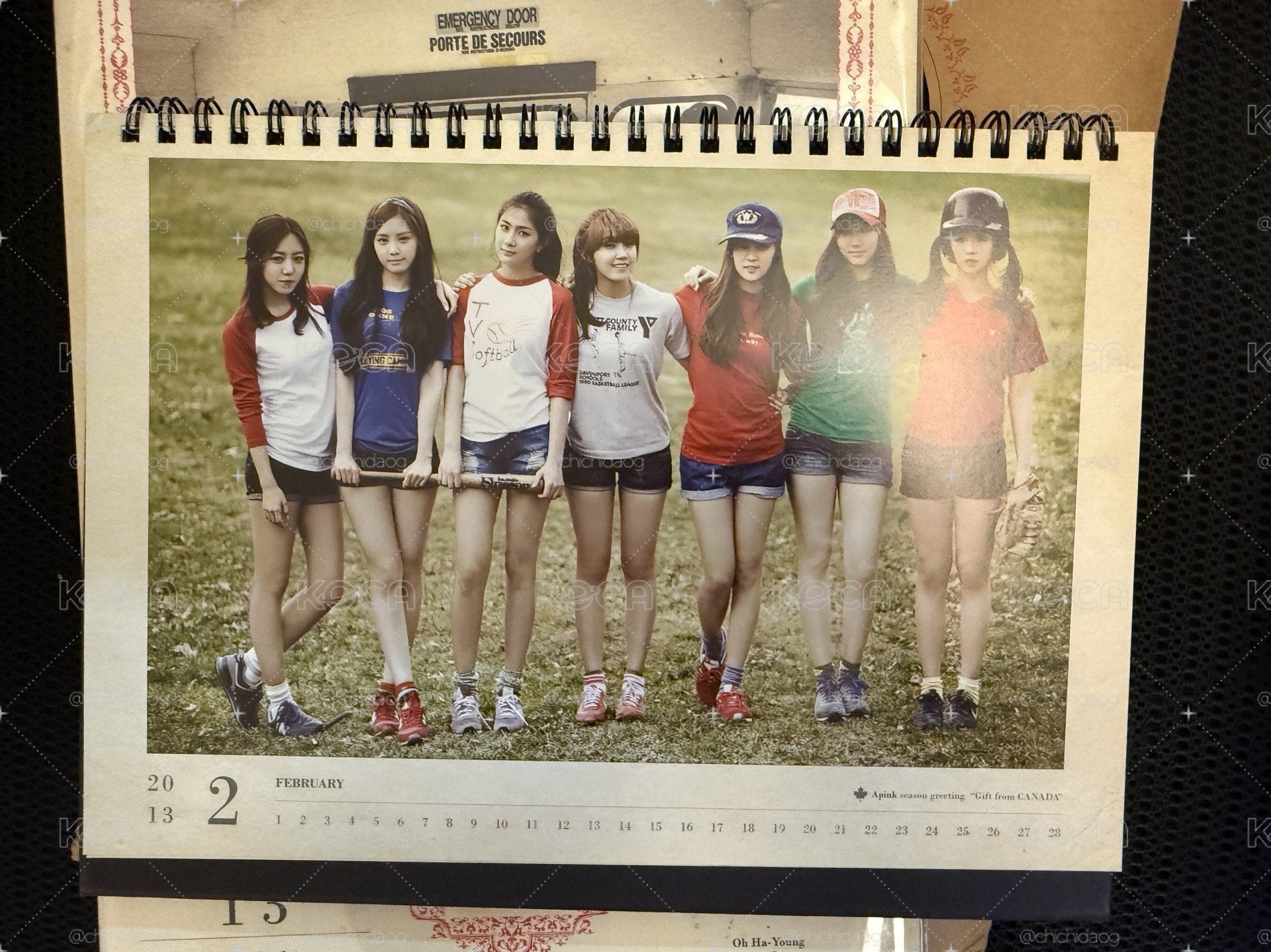 Apink2013年年曆