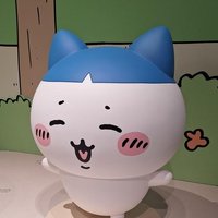 YU