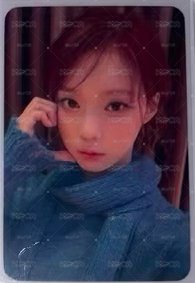 藍莓冬