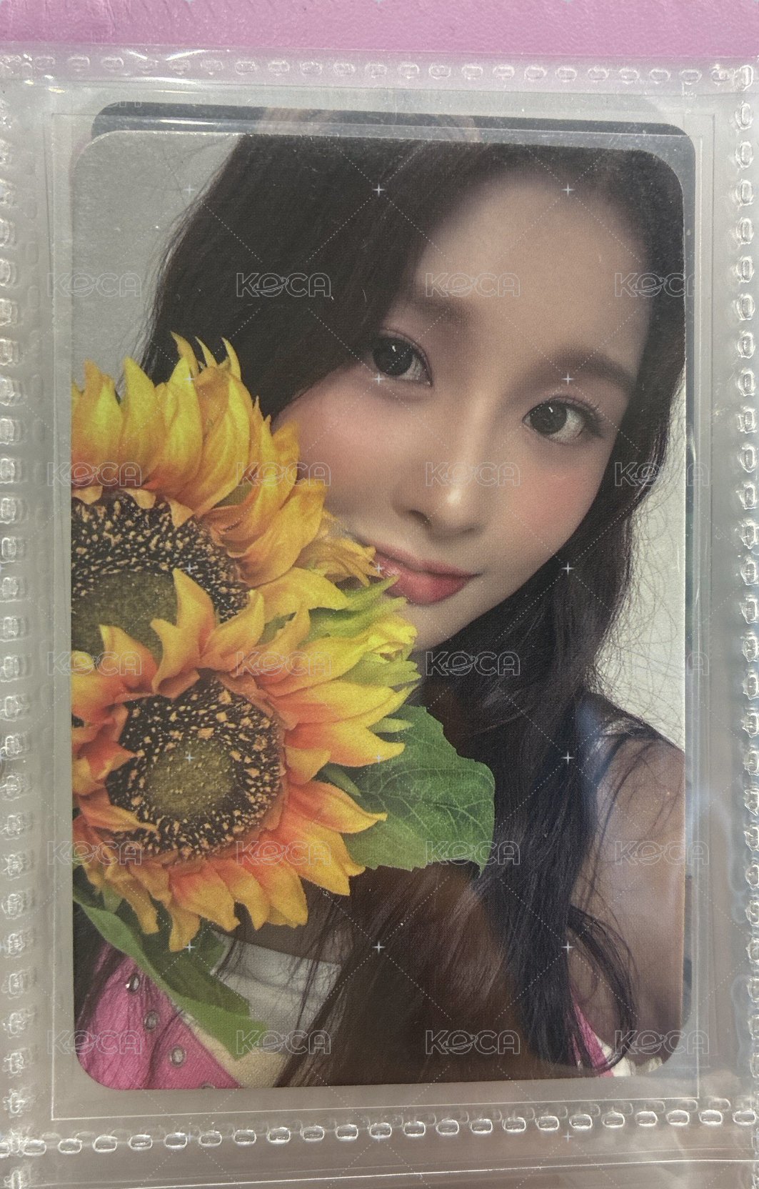 向日葵🌻