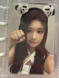 熊貓 