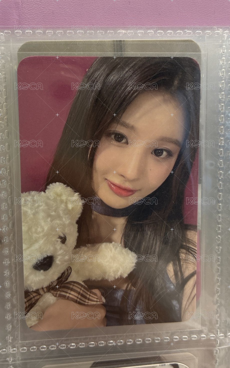 抱熊🐻