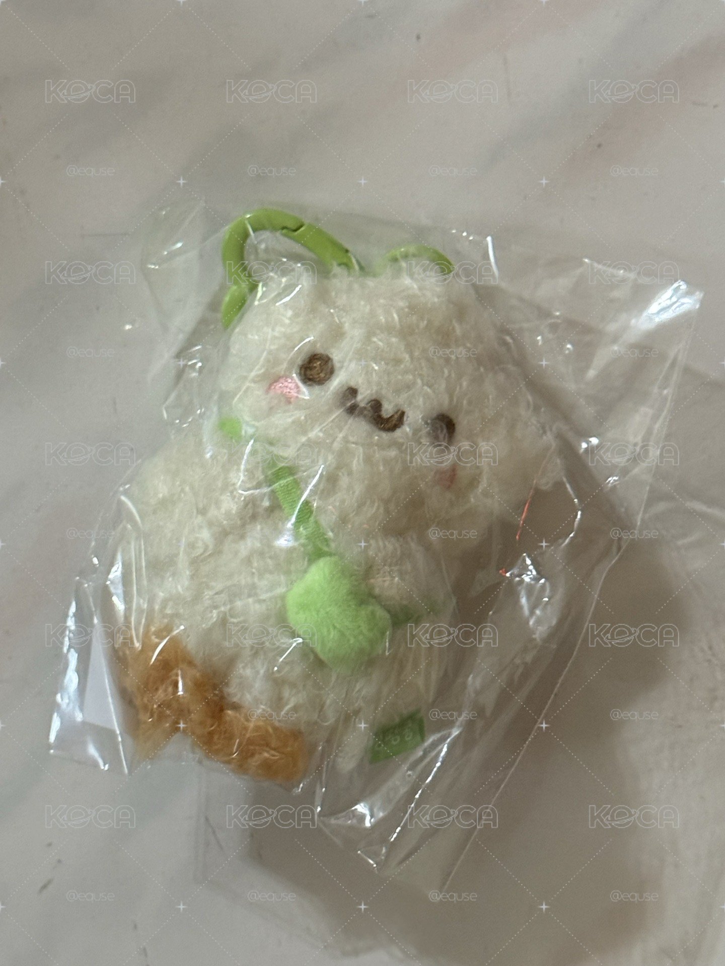 鄭花生