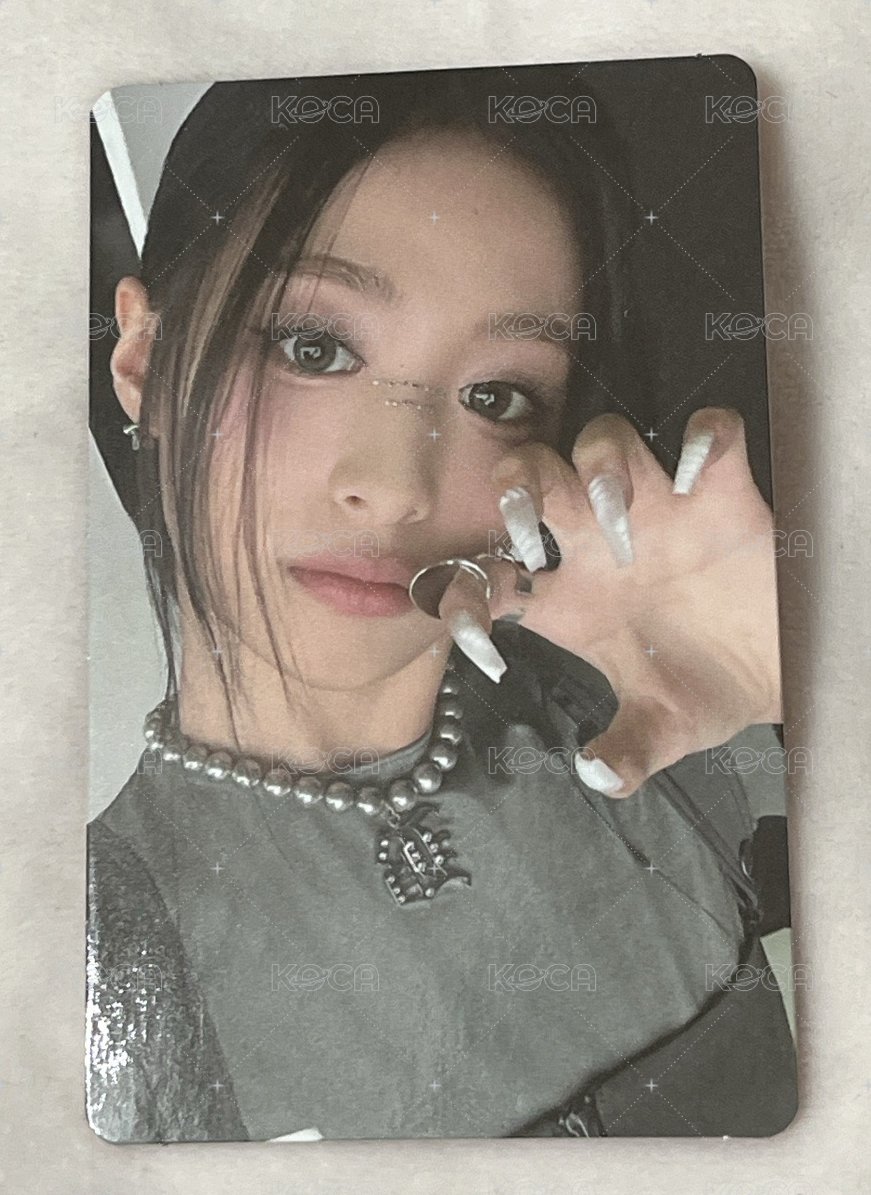 貓爪專卡