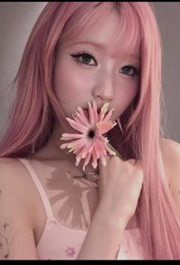 Asa的狗