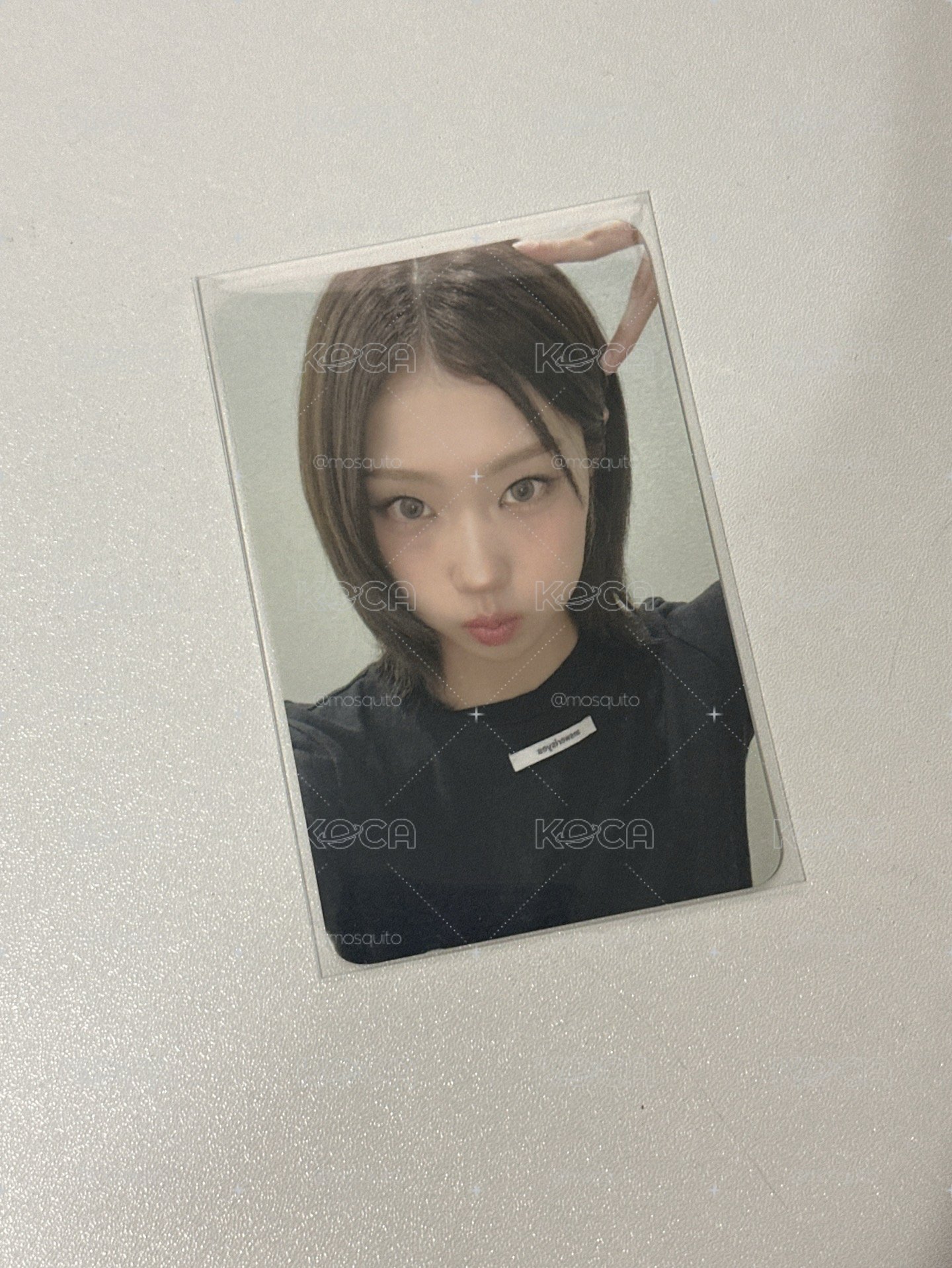 單張