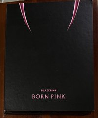 born pink 空專