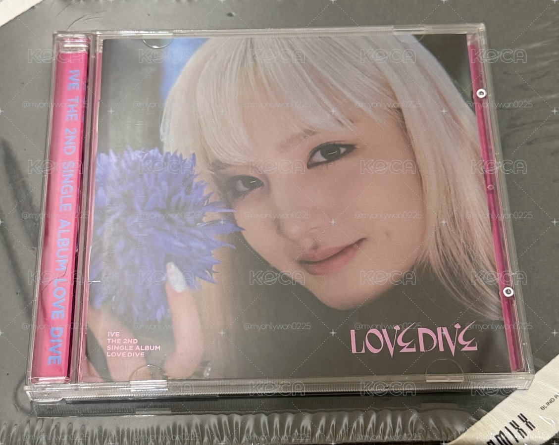 🐻‍❄️LOVE DIVE Liz空專