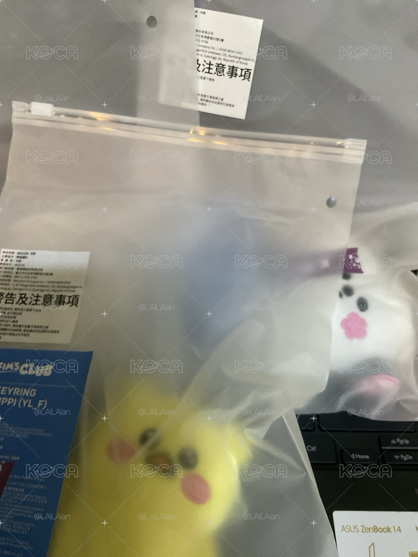 原皮采娃