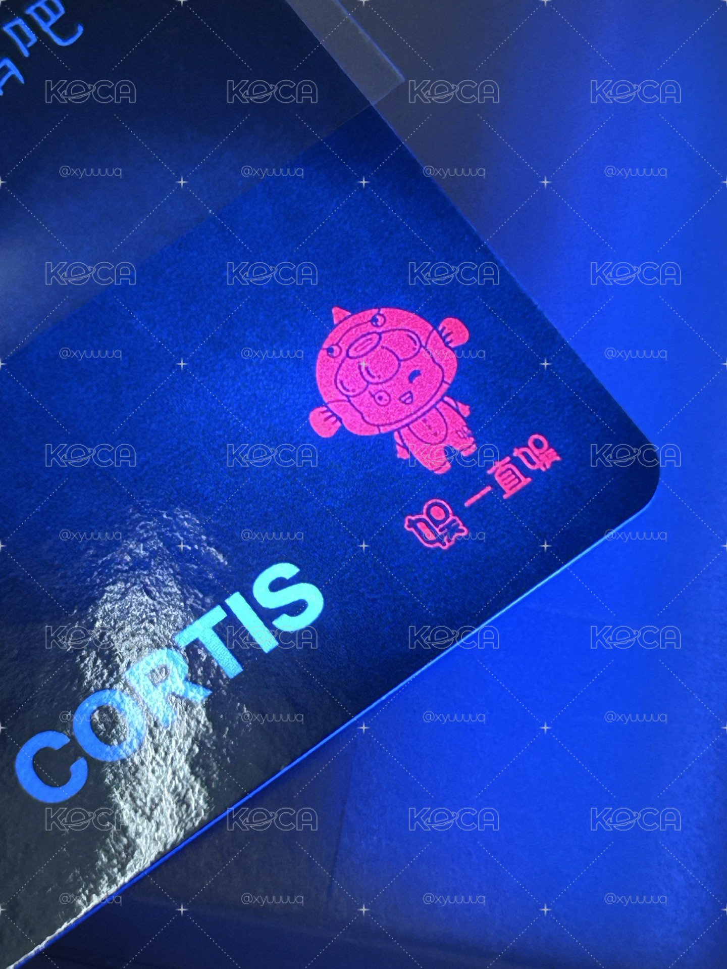中背安 現貨