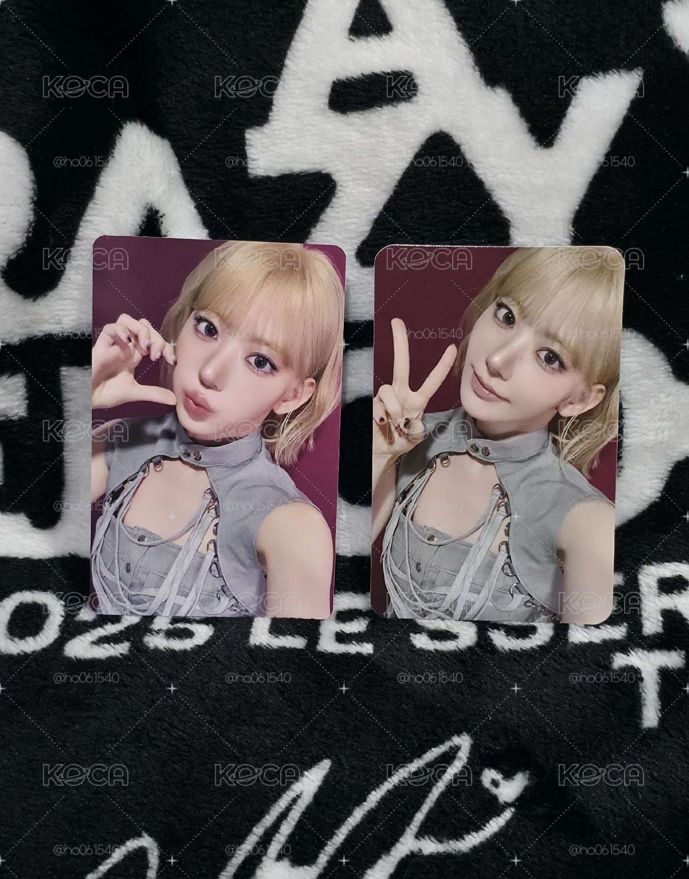金髮小貓*2